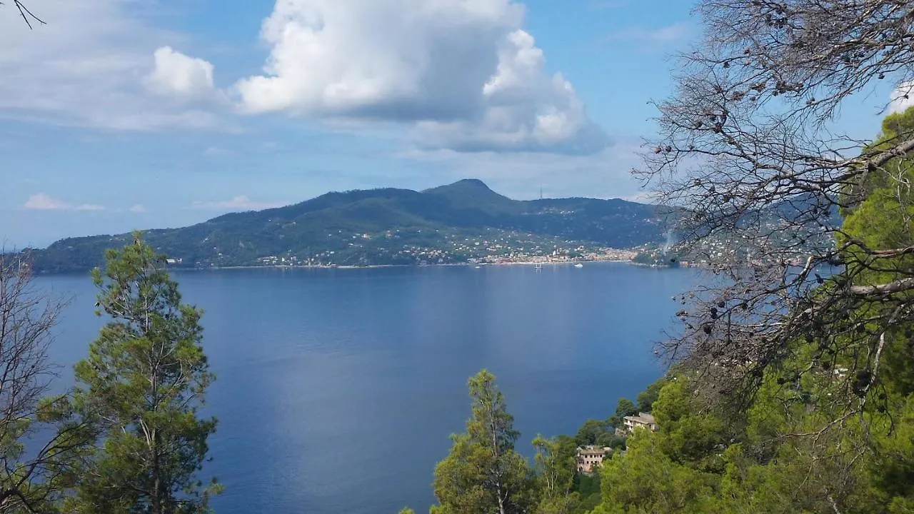 Appartamento Vicino A Portofino E Alle Cinque Terre - Near Portofino And Cinque Terre Zoagli